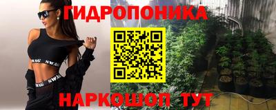 винт Донецк