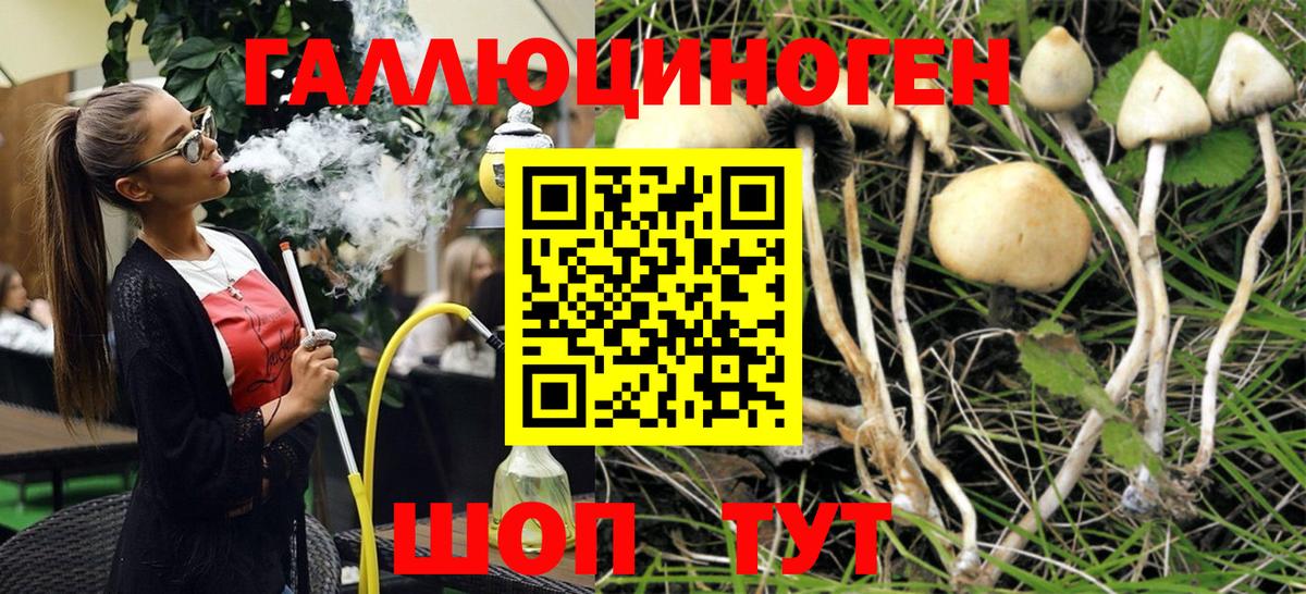 Мирный  где купить наркоту  Вход с VPN  Галлюциногенные грибы Magic Shrooms 